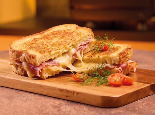 eazypanini_toast-1.jpg eazypanini_toast-1.jpg